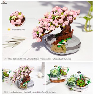 Bouquet Building Blocks Pink Cherry Blossom Plant Model DIY Succulent Potted Flowers Assembled Bricks Girl Gifts Childrens Toys