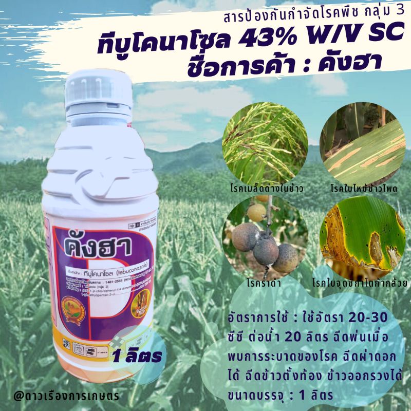 ทีบูโคนาโซล(tebuconazole) 43% SC น้ำครีม*1 ลิตร  สารป้องกันกำจัดเชื้อรา โรคกาบใบแห้ง ราสนิม ราน้ำค้า