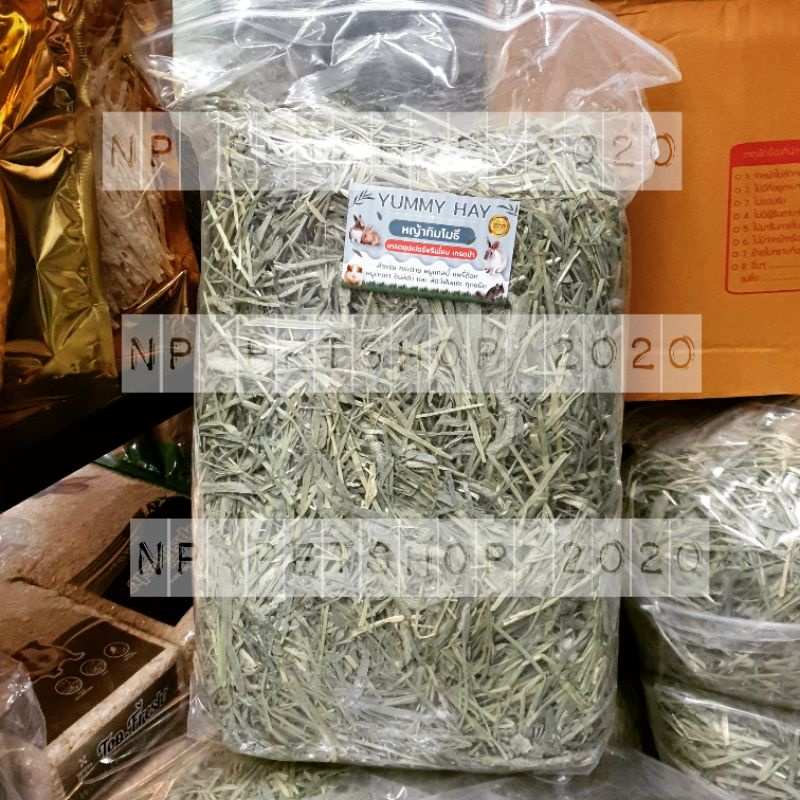 หญ้าทิมโมธี ซุปเปอร์พรีเมียม/คัดใบ 1kg ร่อนฝุ่น yummy