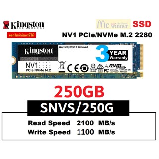 250 GB SSD (เอสเอสดี) KINGSTON NV1 - PCIe 3/NVMe M.2 2280 (SNVS/250G) ประกัน 3 ปี ของแท้