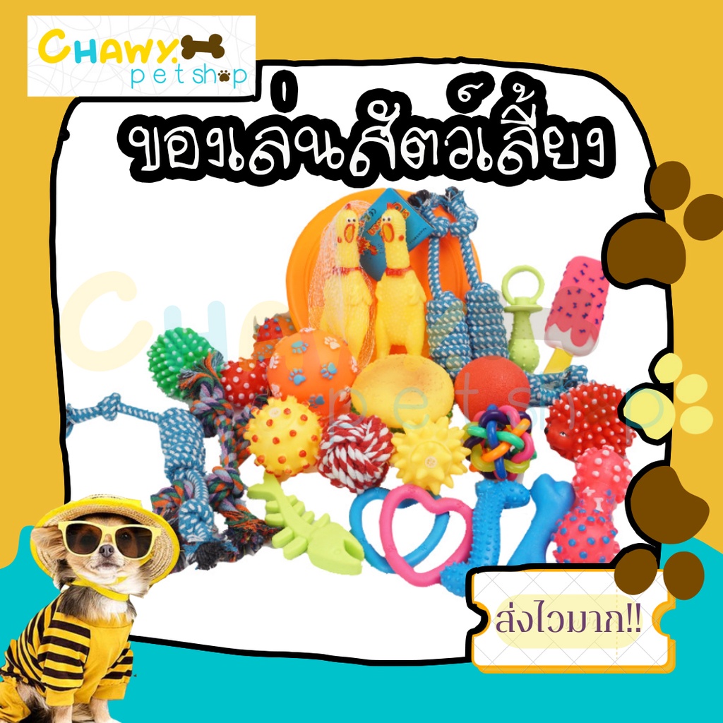 3 ของเล่นสัตว์เลี้ยง มีหลายแบบมาดูก่อน ของเล่นมีเสียง