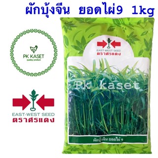 เมล็ดผักบุ้ง ยอดไผ่ 1 kg ผักบุ้ง ศรแดง ใบเรียวเล็ก สีเขียวสด ลำต้นตรง ไม่แตกแขนง ของใหม่