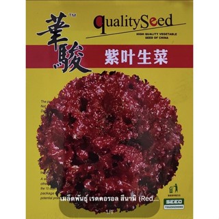 เมล็ดพันธุ์ เรดคอรอล สึนามิ (Red Coral Seed) บรรจุ 4000 เมล็ด