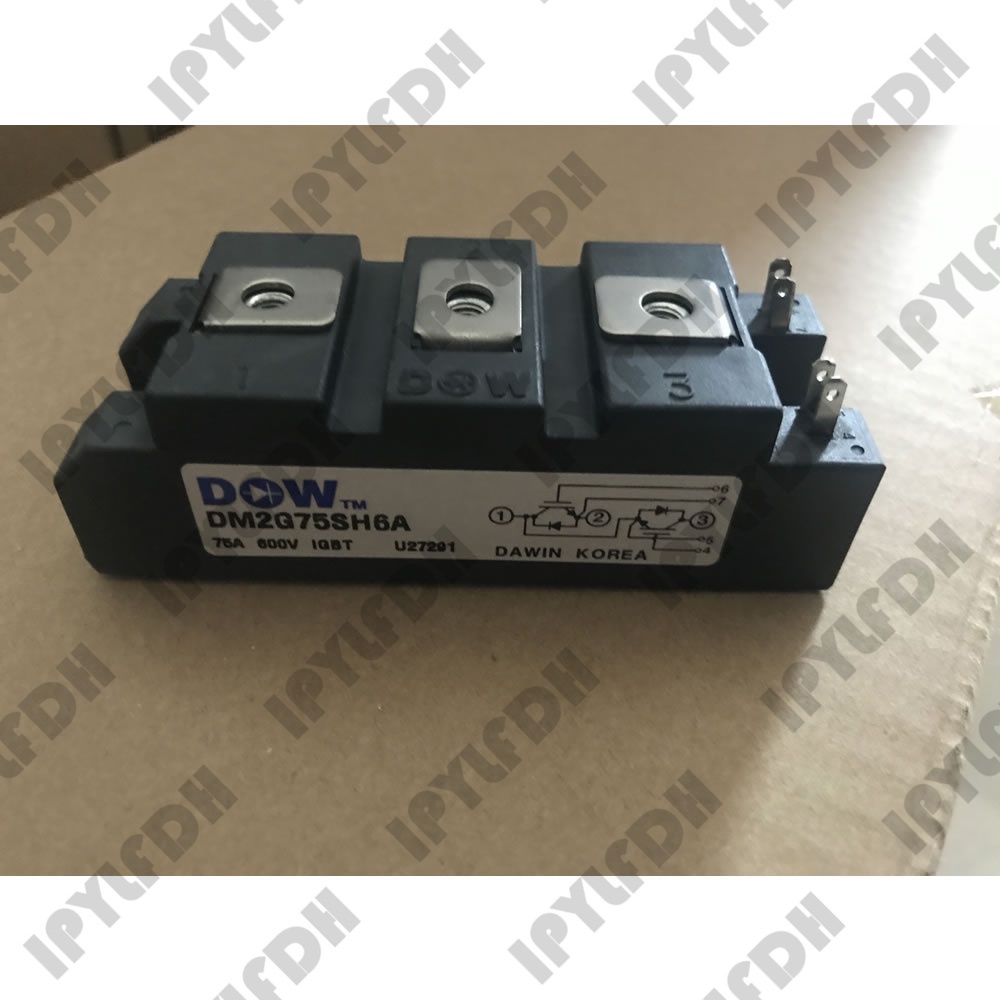 DM2G75SH6A DM2G50SH6A โมดูลไฟ IGBT