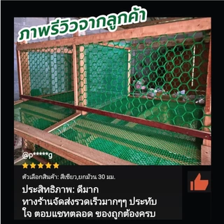 (ยกม้วน 10 เมตร) ตาข่ายพลาสติก PVC ตาข่าย6เหลี่ยมรังผึ้ง ตะแกรงพลาสติก ใช้รองหิน ล้อมรั้ว หน้ากว้าง 90ซม.