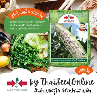 EWCOM 200 กรัม เมล็ดพันธุ์ ข้าวโพดลูกผสม ข้าวเหนียวหวานลูกผสม สวีทไวโอเล็ต 200 กรัม ตราศรแดง Corn