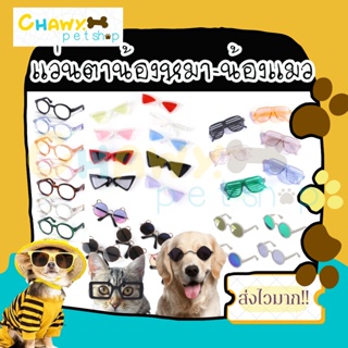 แหล่งขายและราคาแว่นตาสัตว์เลี้ยง แว่นตามหมาเล็ก แว่นตาแมวอาจถูกใจคุณ