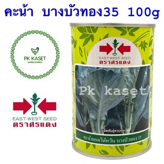 เมล็ดคะน้า บางบัวทอง35 ขนาด 100g ตราศรแดง กระป๋อง คะน้ายอดไต้หวัน