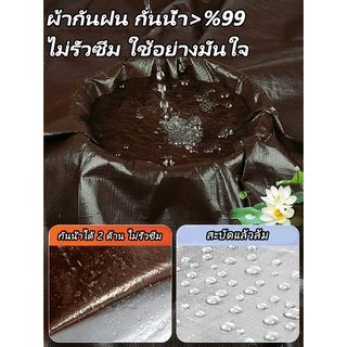 *โค้ดส่งฟรี* ผ้ากันแดดกันฝน PE (มีตาไก่) ขนาด2x2 2x3 2x4 3x3 3x4 3x5 3x6 4x5 4x6 5x6เมตร