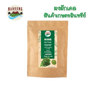 ผงเคล ผงผัก ผงผักเคล100% สินค้าอินทรีย์ ขนาด 40 กรัม