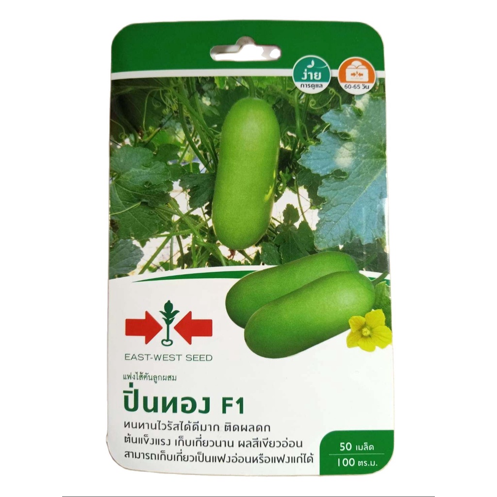 SORNDAENG ผักซอง ศรแดง S102# แฟง ปิ่นทอง F1 เมล็ดพันธุ์ เมล็ดพันธุ์ลูกผสม เมล็ดพันธุ์ผัก ผักสวนครัว ตราศรแดง