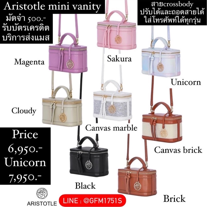 Aristotle bag - mini vanity