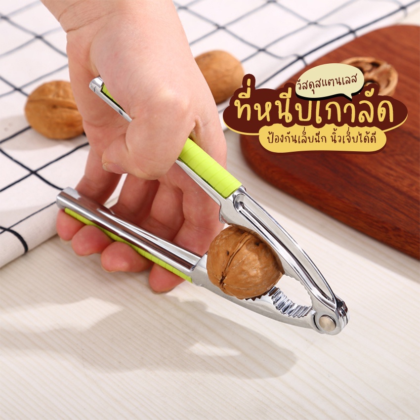 Systano (ส่งจากไทย) ที่หนีบเกาลัด ที่แกะเกาลัด วอลนัท สแตนเลส No.Y1188