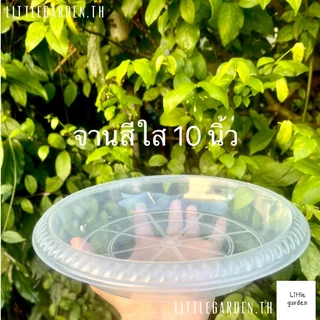 Little กระถางพลาสติก 10 นิ้ว (สีดำเงาA+🖤) (สีขาวออร่าA+🤍)(สีอิฐ🧱)(สีใสA+💎)