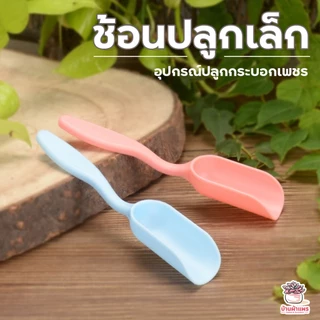 ช้อนปลูกเล็ก อุปกรณ์ปลูกกระบองเพชร ไม้อวบน้ำ กุหลาบหิน cactus&succulent