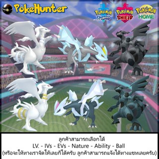 Pokemon Reshiram Zekrom Kyurem