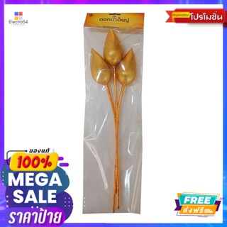 ธรรมมงคล ดอกบัวใหญ่คละสี 1X3THAMMONGKOL LOUTUS