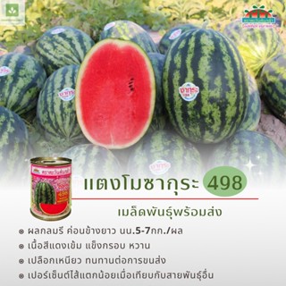 ใหม่! ซากุระ 498 แตงโม แตงโมซากุระ 498 เมล็ดพันธุ์แตงโม