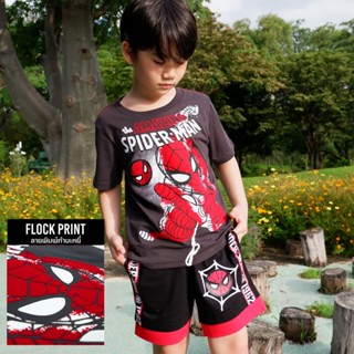 Marvel Boy Spider-Man Flock Print T-shirt - เสื้อยืดเด็กพิมพ์กำมะหยี่ลายสไปเดอร์แมน  สินค้าลิขสิทธ์แท้100% characters studio