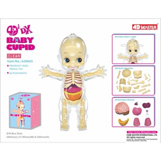 (พร้อมส่ง) 4D Half - DX Baby Cupid Clear Shell