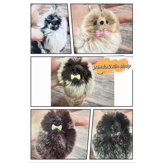 มี3แบบ 36สี พวงกุญแจกระรอก จิ้งจอก ขายส่งและขายปลีกก็ได้ New keychain of colorful squirrel SS – โปรปัง