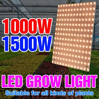 หลอดไฟสเปกตรัม LED Grow Light Full Spectrum 1500W 220V 1000W สําหรับปลูกพืชเรือนกระจก เพาะเมล็ด