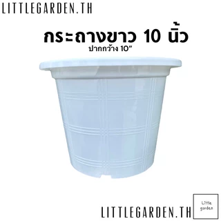 Little กระถางพลาสติก 10 นิ้ว (สีดำเงาA+🖤) (สีขาวออร่าA+🤍)(สีอิฐ🧱)(สีใสA+💎)