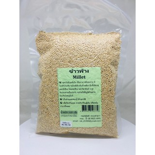 ข้าวฟ่าง Millet ขนาด 500 กรัม (มีเปลือก) ไม่เหมาะกับการเพาะปลูก