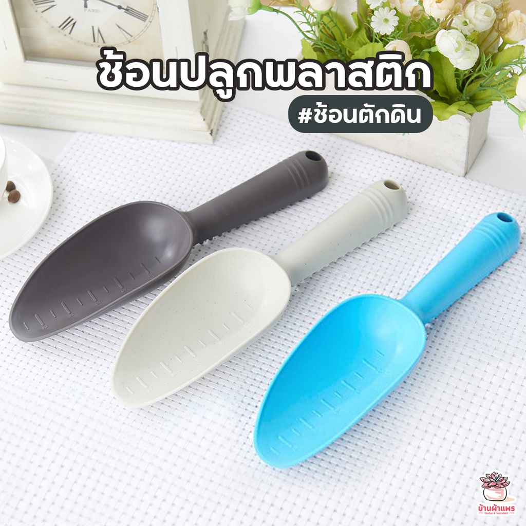 ช้อนปลูกพลาสติก ช้อนตักดินปากมน อุปกรณ์ปลูกกระบองเพชร ไม้อวบน้ำ กุหลาบหิน cactus&succulent