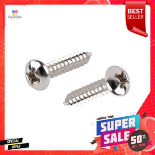 สกรูเกลียวปล่อย TP DEXZON 12X1 นิ้ว 25 ตัวSELF-TAPPING SCREWS TP DEXZON 12X1IN 25EA