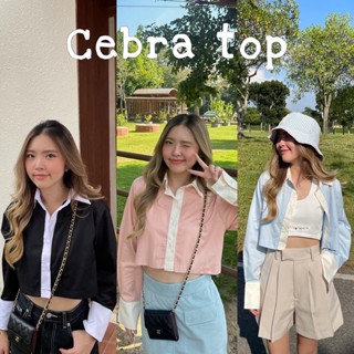 CEBRA TOP - crop shirt / panda,blossom,ora blue