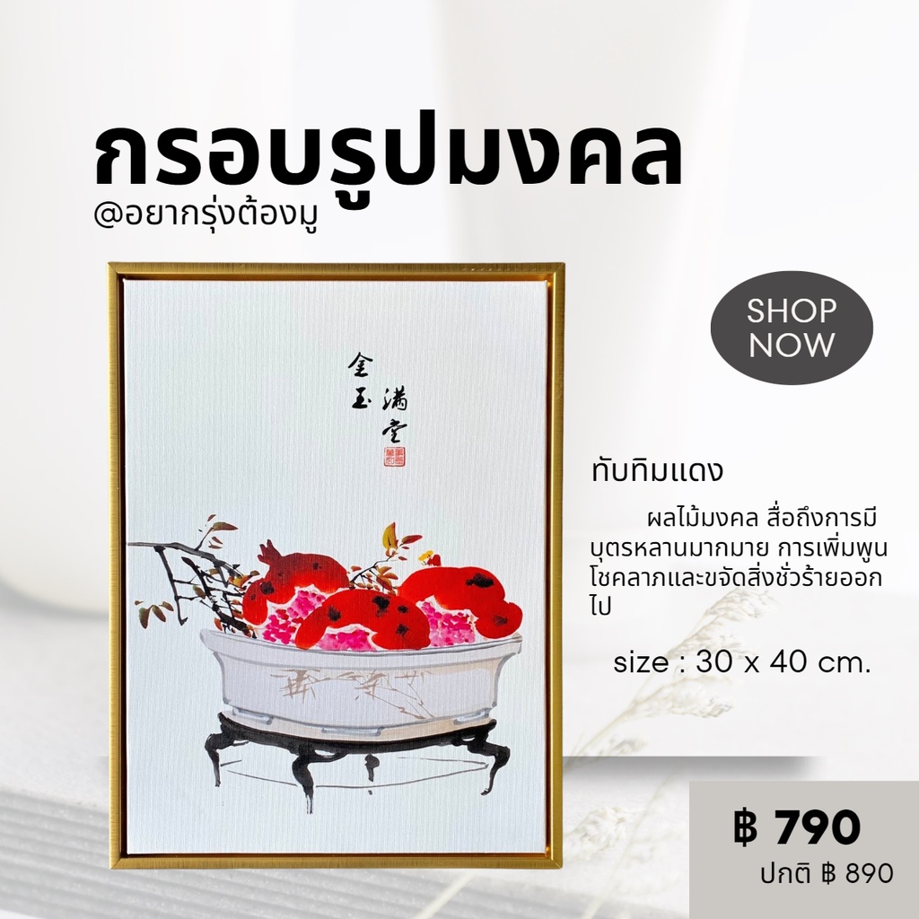 กรอบรูปมงคล ทับทิม ผลไม้มงคลสื่อถึงมีบุตรหลานมากมาย 30x40 cm ของตกแต่งบ้าน ของขวัญปีใหม่ ของที่ระลึก