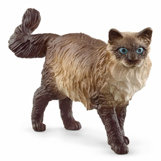 Schleich Ragdoll ฟิกเกอร์ฟาร์มแมว 13940 ของเล่นสําหรับเด็กอายุ 3 ปีขึ้นไป