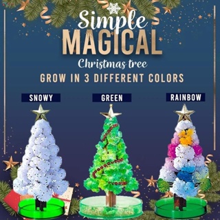 Magic Chrismas tree 🎄🎄 ต้นคริตสมาส มหัศจรรย์ รดน้ำงอกใบได้ ต้นคริตสมาสงอกใบได้ ปลอดภัย ราคาไม่แพง หลายหลายแบบให้เลือก