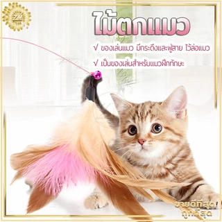 ไม้ล่อแมว ไม้ตกแมว ของเล่นแมว สายยาว 66 ซม. ไม้ตบแมว รุ่นปอมปอม มีกระดิ่ง/ ไม้แมว ขอเล่นแมว ไม้แมว ยาวสุด ไม้ตกแมวขนนก