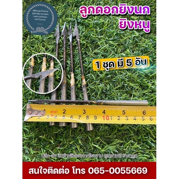ลูกดอกยิงหนู ยิงปลา (ชุด 5 ชิ้น) ราคา95฿