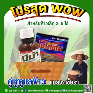 ชุดกำจัดแมลง เชื้อราช่วงข้าวเล็ก3-5ไร่ ป้องกันและกำจัดโรคข้าวกาบใบแห้ง ข้าวใบด่าง เพลี้ยอ่อน เพลี้ยไฟ เพลี้ยหอย คูลเกษตร