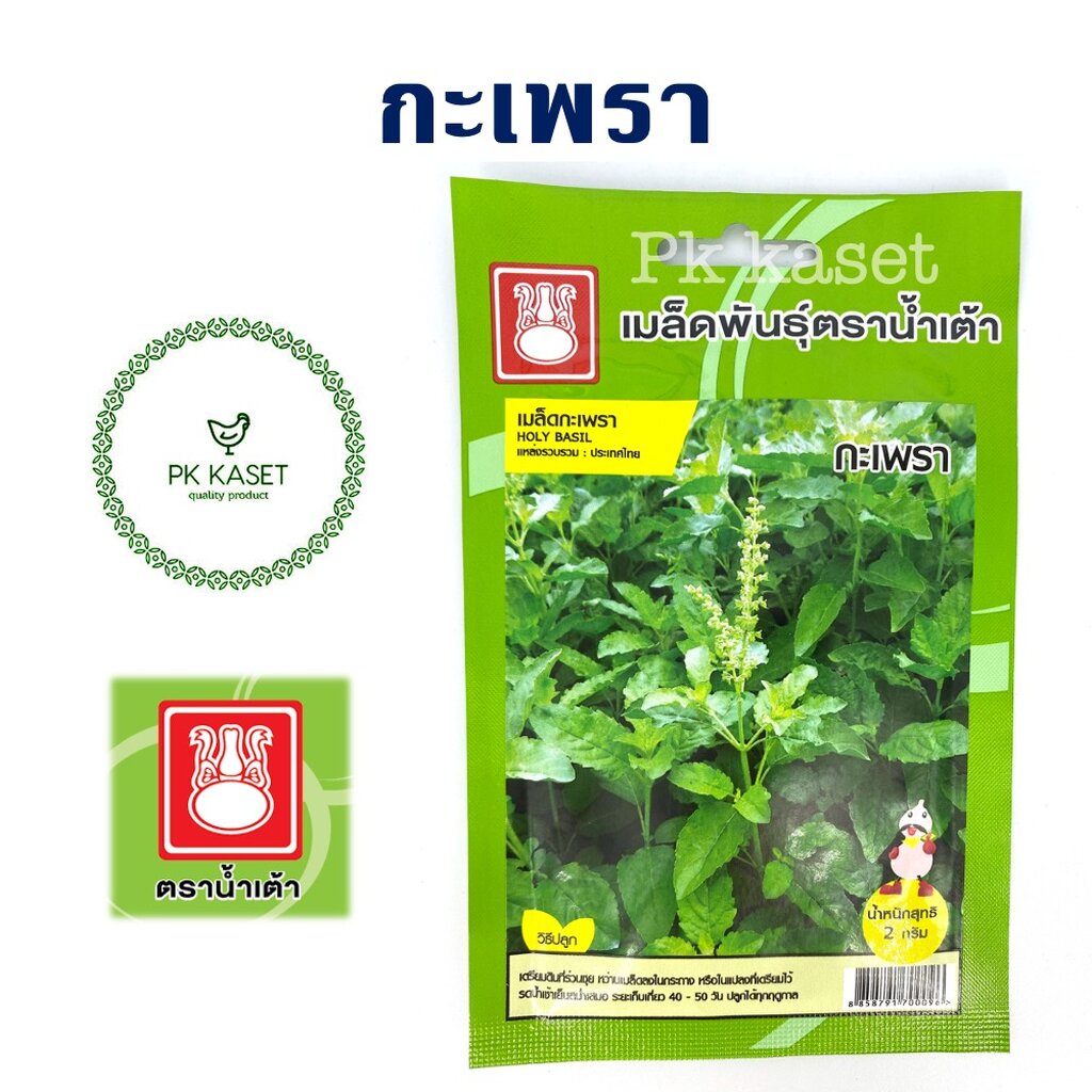 เมล็ดกะเพรา ตราน้ำเต้า ซองประหยัด ผักสวนครัว