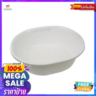 โลตัส กะละมังพลาสติกLOTUSS OVAL BASIN (W)