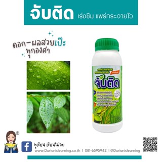 จับติด แพร่กระจายไว จับใบ จับดี ติดทนนาน