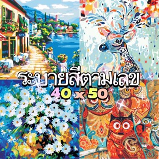 [ส่งไว] ส่งเร็ว1-2วัน【40*50ซม.】ระบายสีตามตัวเลข เฟรมชุดผ้าใบระบายสี RNYH081001 DIY painting by numbers