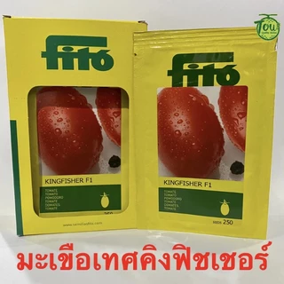เมล็ดพันธุ์มะเขือเทศคิงฟิชเชอร์ 10 เมล็ด kingfisher tomato