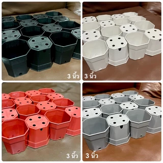 Little กระถางแคคตัส กระถางแปดเหลี่ยม 2 นิ้ว 3 นิ้ว 4 นิ้ว (สีดำ สีขาว สีอิฐ สีเทา)