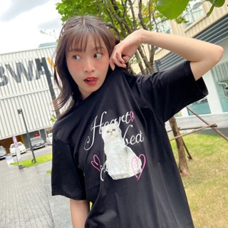 Live90# เสื้อคัตตอล มีหลายสี “แมวฟู” สไตล์เกาหลี Dream Big Tshirt โอเวอร์ไซน์ สาวอวบใส่ได้ พร้อมส่ง คอกลม ผ้านุ่ม