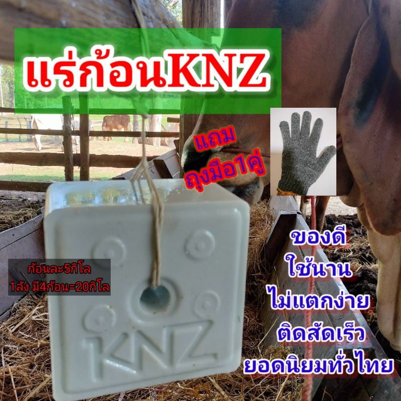 #ก้อนเกลือแร่ KNZ แร่ก้อนknz 1ลัง= 20 Kg (4 ก้อน/ก้อนละ 5 Kg) #เกรียงศักดิ์เมล็ดและท่อนพันธุ์หญ้าอาหารสัตว์