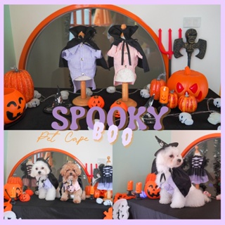 เสื้อเชิ้ตผ้าคลุมสัตว์เลี้ยง หมาเเละเเมว MOONIES PET007: Spooky BOO