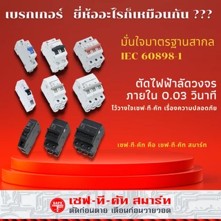 เบรกเกอร์ 2P แบบ EU (รางปีกนก) : เซฟทีคัท สมาร์ท