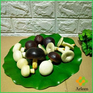 Arleen ใบบัวปลอม ใบบัวพลาสติก  สําหรับรองอาหารคาว หวาน หรือตกแต่งอ่างปลา Home Decor