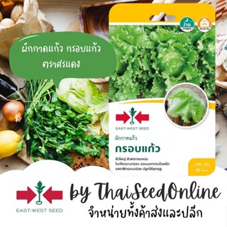 GGEW เมล็ดพันธุ์ซฟ ผักกาดแก้ว กรอบแก้ว สลัดห่อ 160เมล็ด ตราศรแดง Lettuce