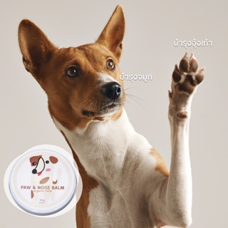 🔥พร้อมส่ง ‼️ บาล์มสัตว์เลี้ยง-Home Made 100% Organic บาล์มทาเท้าสุนัข บาล์มทาเท้าแมว Pet Balm (Mr. Yhong - Pet shop 🐶)